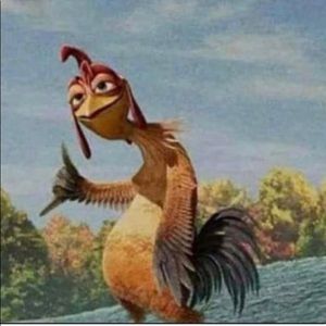 Meet your Posher, Tyson